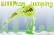 Frog Jumping