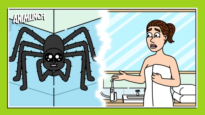 Shower Spiders