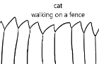 cat walking on a fence