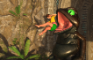 Demon Toad eats Jane Porter