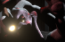 Thumper analog horror