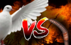 Bird&amp;#039;s vs Worms