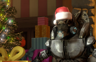 Merry Gruntmas