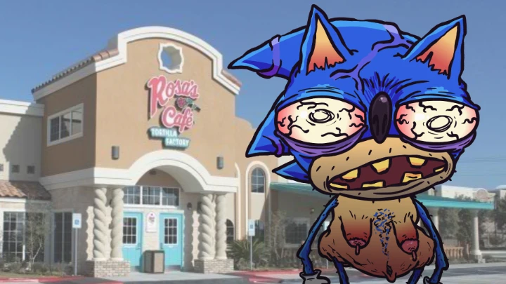 Sonic Goes to Rosa's Cafe