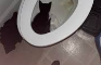 how 2 drown a cat (beginnger guide)