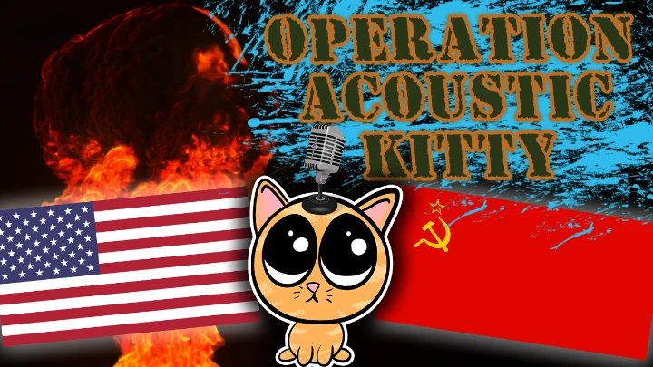Operation Acoustic Kitty