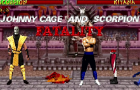 Johnny Cage &amp; Scorpion tag team fatality