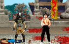 Liu Kang &amp; Kabal tag team fatality