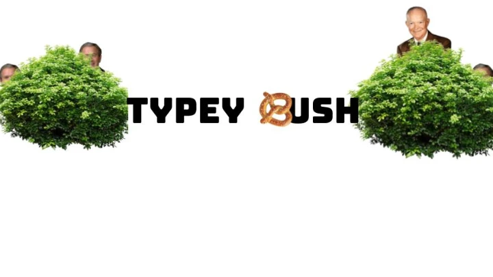 Typey Bush