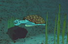 Island Turtles (Short Animation)