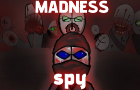 Madness spy [MD24]