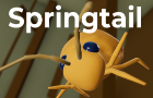 Springtail