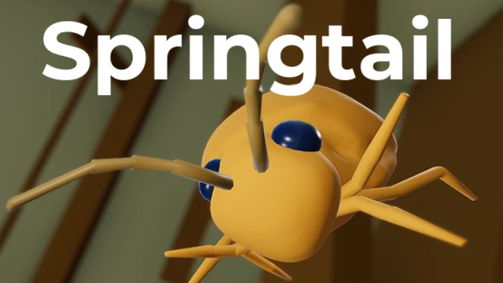 Springtail