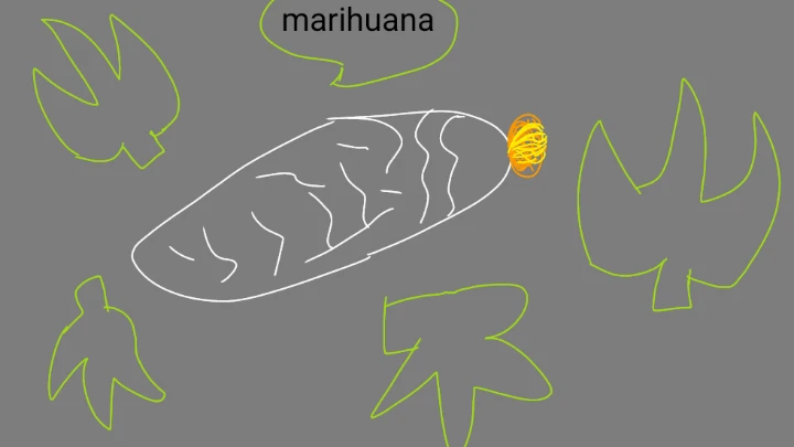 Marihuana