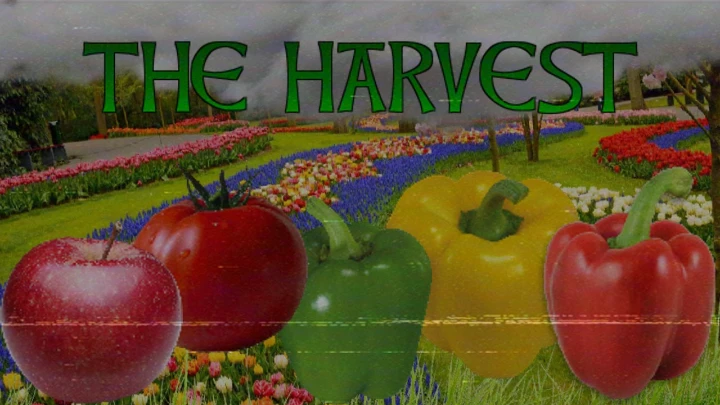 The Harvest