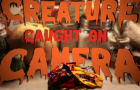 Creature Caught on Camera...