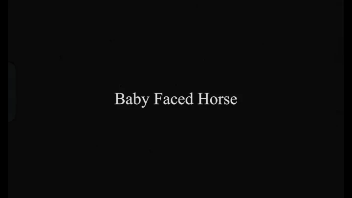 Baby Faced Horse