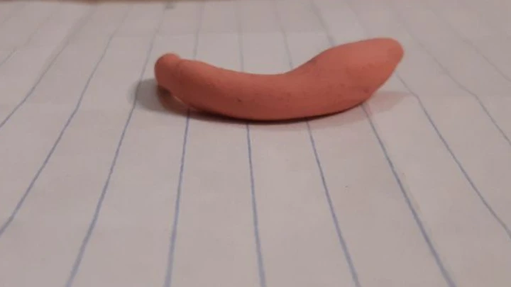 Worm