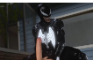 SheVenom x Human (Futanari)