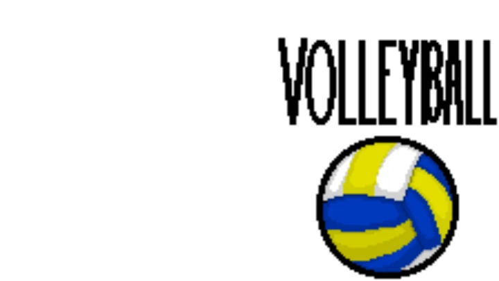 2 Player Volleyball