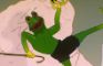 dancin frog new taste !