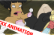 Public release Amy Wong an Nibbler&#039;s wedding (futurama porn)