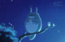 My Neighbor Totoro Fananimation!