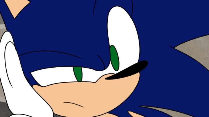 Sonic x Shadow Takeover Question