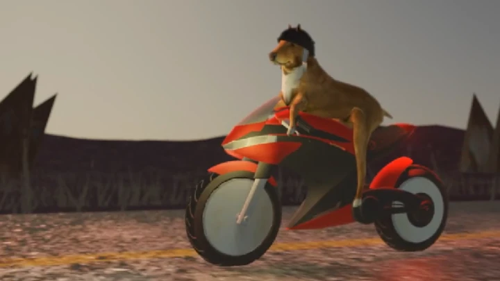 DOG ON MOTORCYCLE SONG