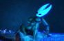 Captured by Hornet