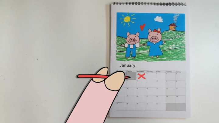 Pigs in January