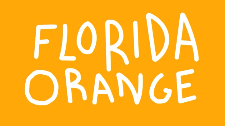 "Florida Orange" - Jill Neptune READ DESCRIPTION