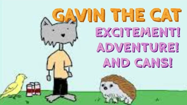 Gavin the cat!