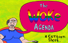 The Woke Agenda