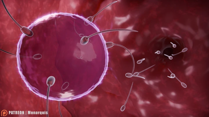 Momo Insemination | FULL INTERNAL ANIMATION