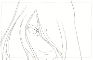 Hair Practice Genga