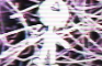 fever - emi a