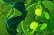 Slimegirl?! (Day 5)
