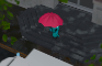 katshi rain jumpi