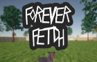 Forever Fetch