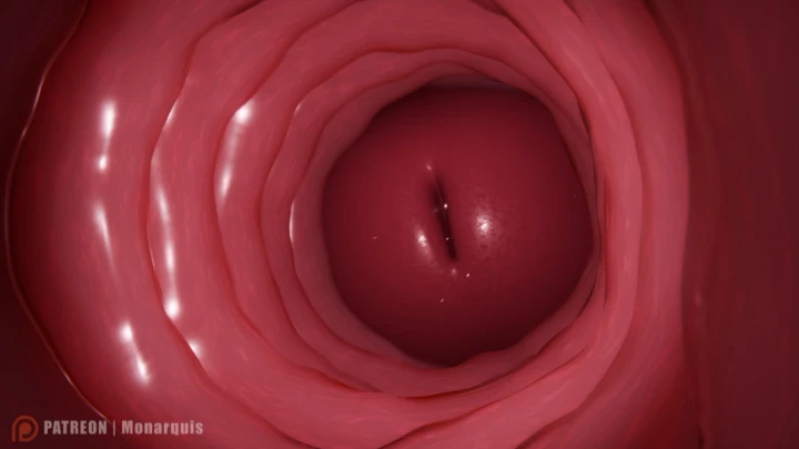 Anal Interior Fuck | FULL INTERNAL ANIMATION