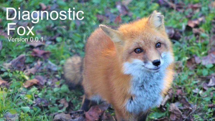 Diagnostic Fox