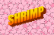 SHRIMP