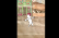 a Test