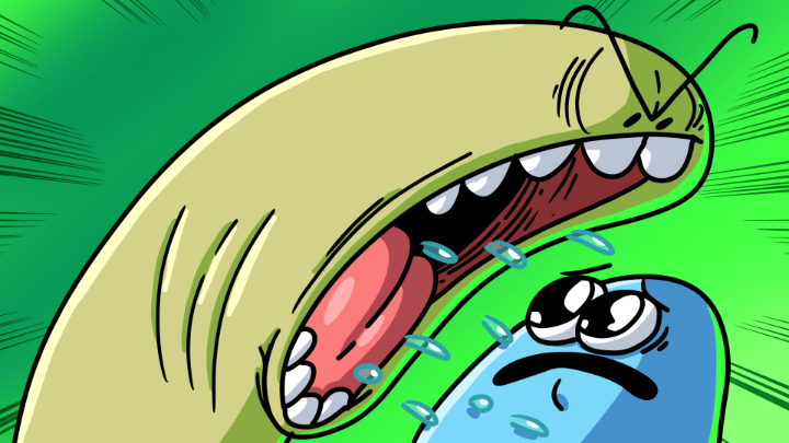SCREAM