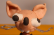 Scrawl Animation