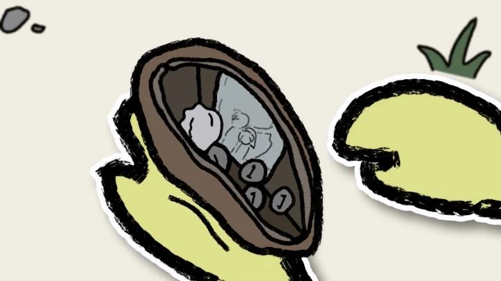 Poor Successor
