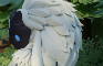 Kindred: Down time in the Jungle