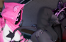 Raven Team Leader milking