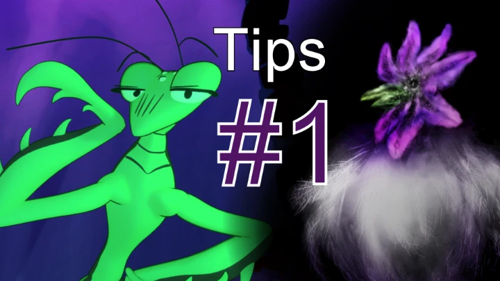 Sophodra's Tips #1: Chickens